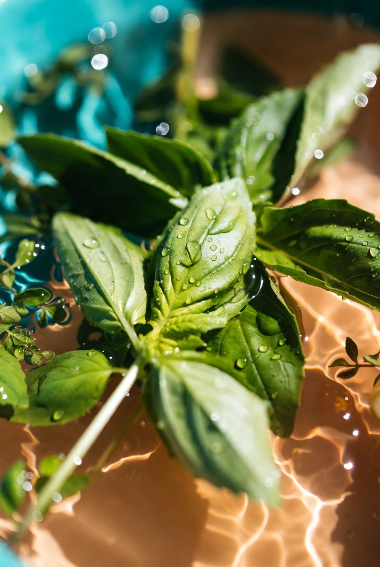 Fraîcheur et vitalité